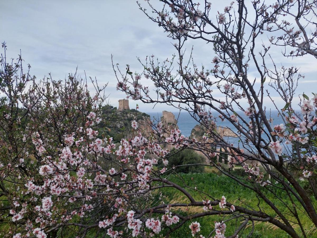 Piccola Baia Villa Scopello  Buitenkant foto